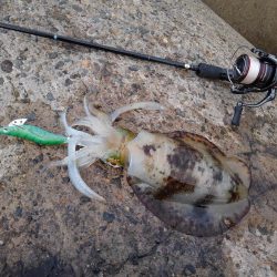 モエモエグリーンに萌え萌え